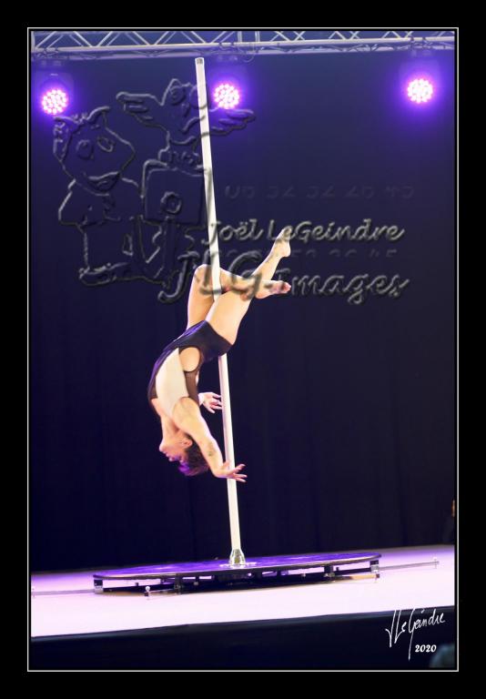 20-02-15_danseBarre cadreweb 09